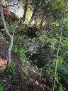 Ferguson Falls - dry