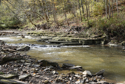 Redhill Creek