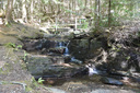 Wilson's Trail Falls