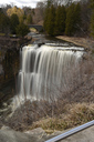 Webster's Falls